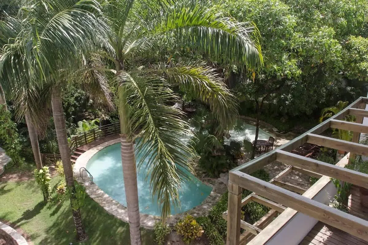 Tropical Oasis With Cenote & Pool Walk To Beach Playa del Carmen 0*,