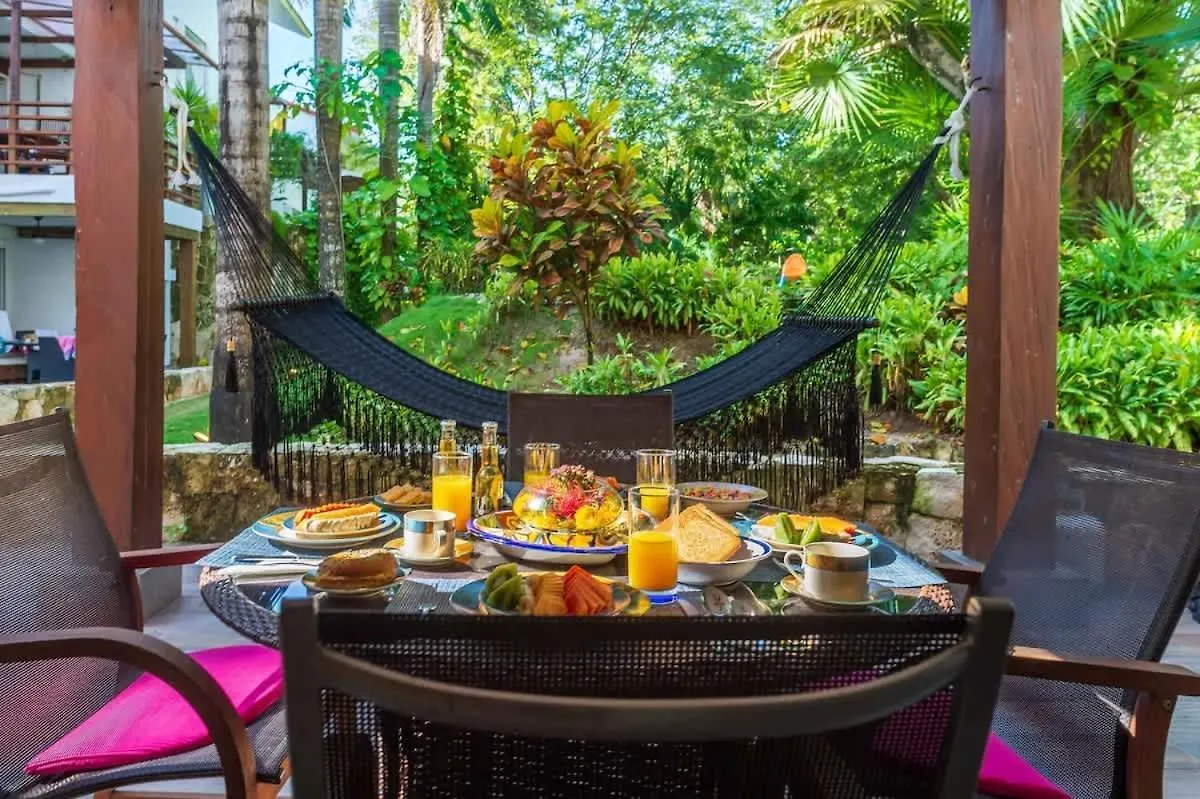 Tropical Oasis With Cenote & Pool Walk To Beach Playa del Carmen Mexico