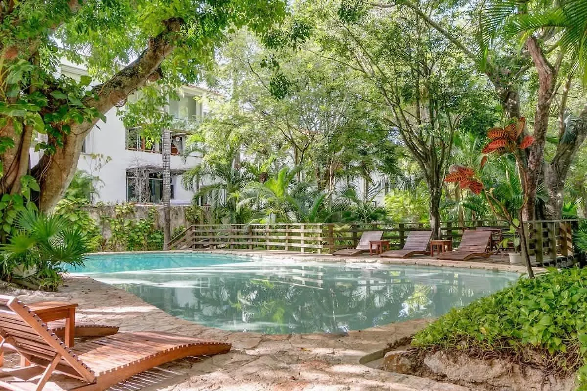 Tropical Oasis With Cenote & Pool Walk To Beach Playa del Carmen Holiday home