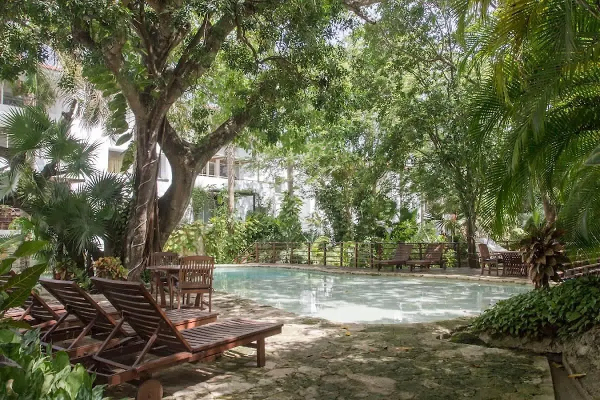 Prázdninový dům Tropical Oasis With Cenote & Pool Walk To Beach Playa del Carmen