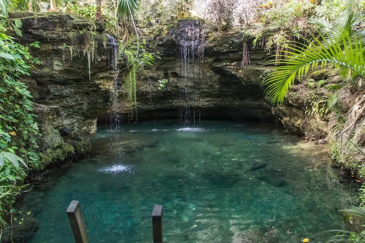 Prázdninový dům Tropical Oasis With Cenote & Pool Walk To Beach Playa del Carmen